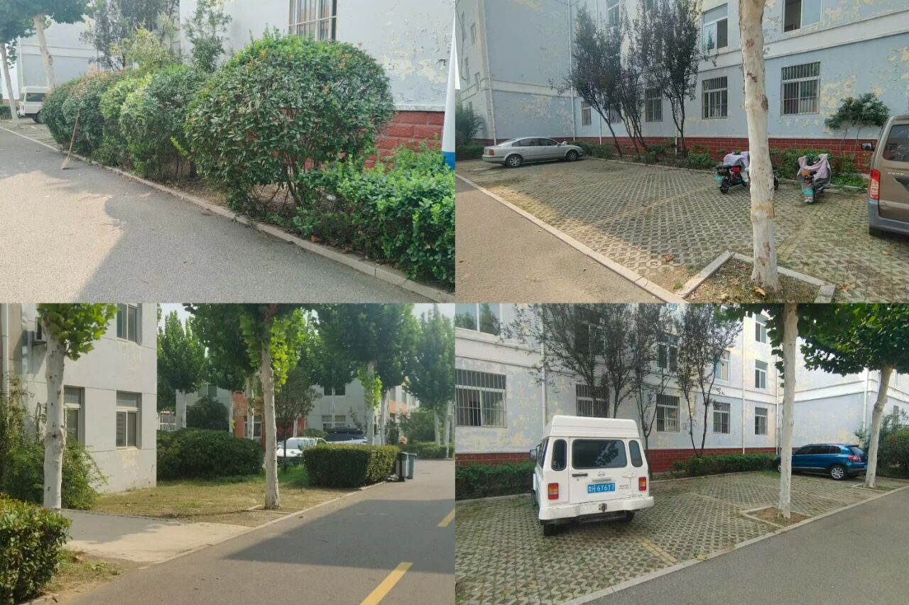 【魯南電商】共建美麗園區(qū)，我們在行動！1